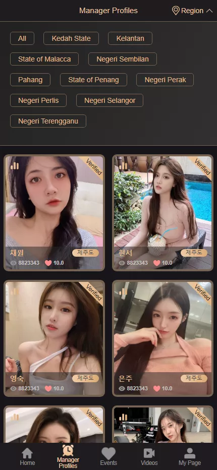 图片[8]-多语言空降】全新UI模版+前端vue编译后